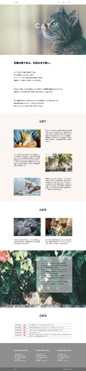 f:id:fuchsia-84:20191010181123p:plain スクリーンショット