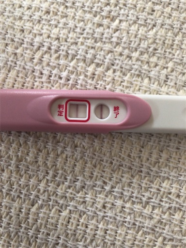 D36 高温期19日目 妊娠検査薬 判定の結果は Une Chouette 徒然日記