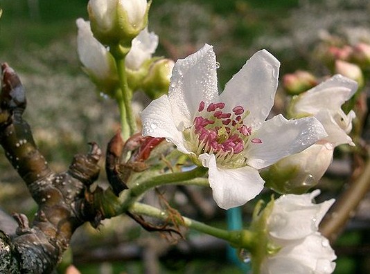 f:id:fuchssama:20160522165254j:plain