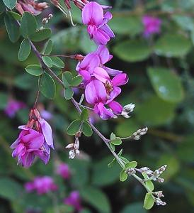 f:id:fuchssama:20160522165317j:plain