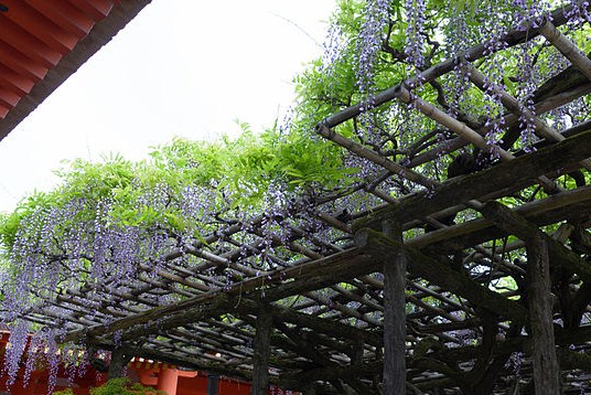 f:id:fuchssama:20160522165345j:plain