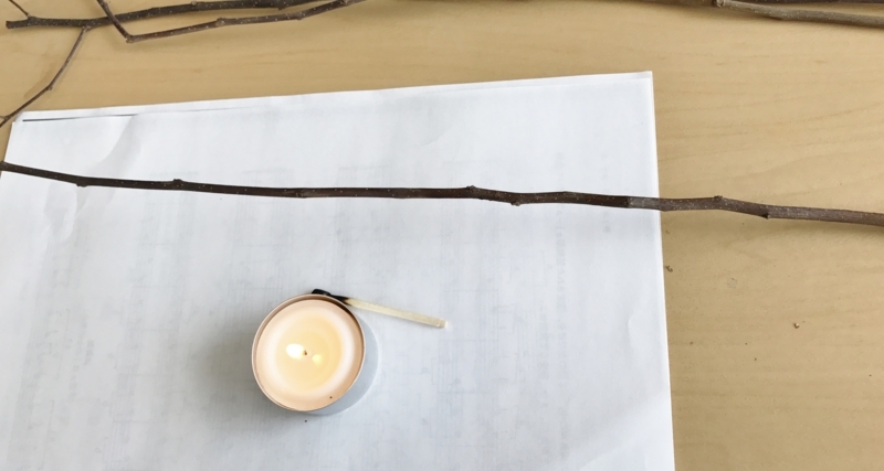 f:id:fuchssama:20170609151548j:plain