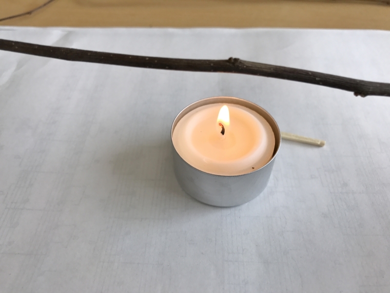 f:id:fuchssama:20170609151556j:plain