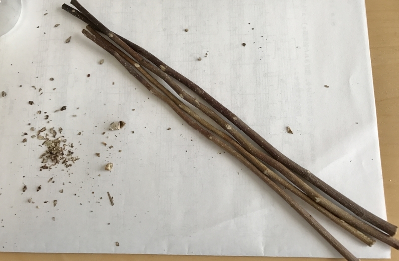 f:id:fuchssama:20170609151615j:plain