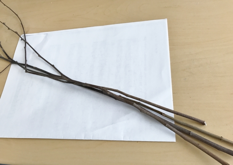 f:id:fuchssama:20170609151629j:plain