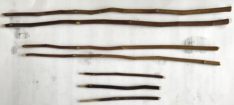 f:id:fuchssama:20170609151713j:plain