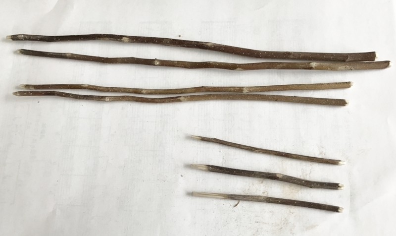 f:id:fuchssama:20170609151724j:plain