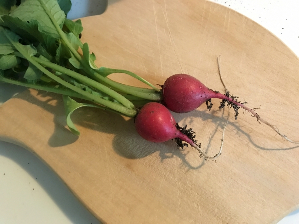 f:id:fuchssama:20170723122402j:plain