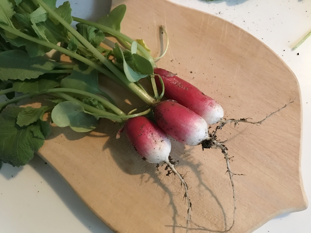 f:id:fuchssama:20170723122625j:plain