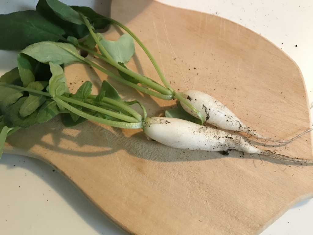 f:id:fuchssama:20170723122838j:plain