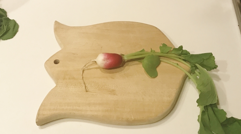 f:id:fuchssama:20170725205620j:plain