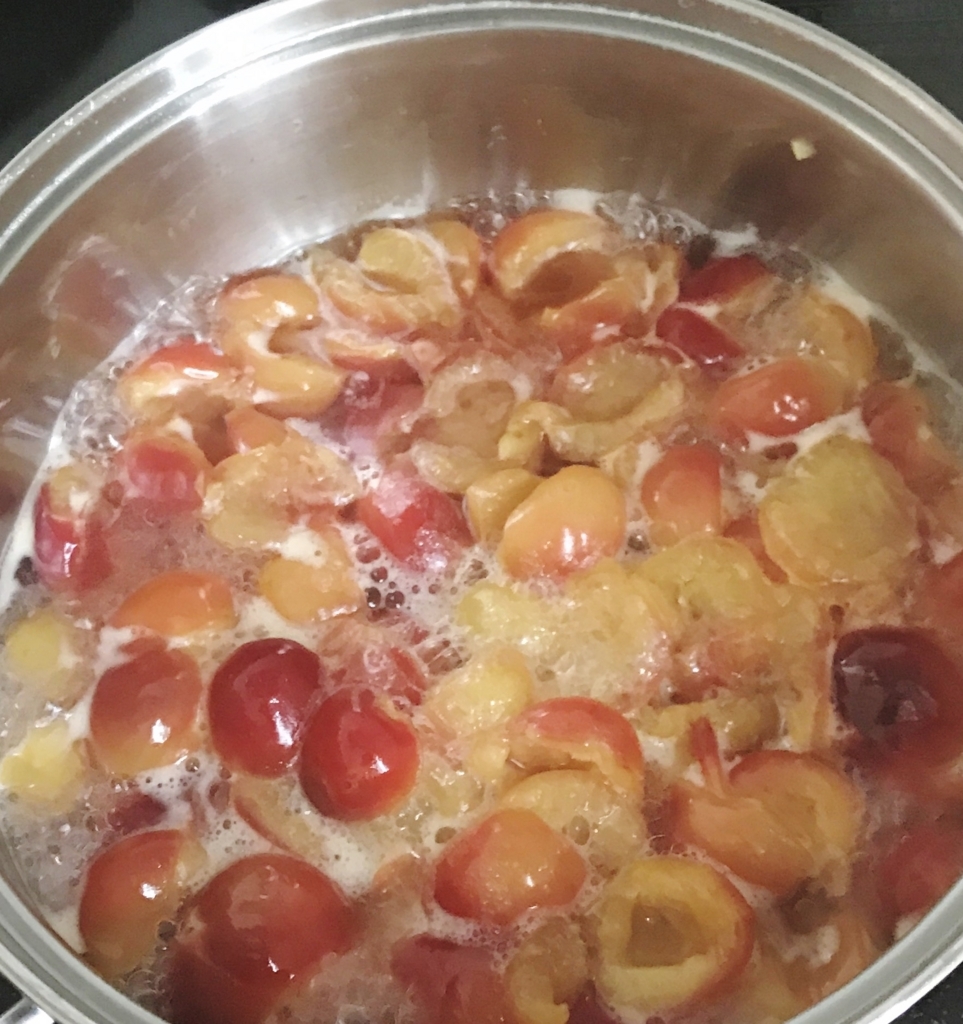 f:id:fuchssama:20170725211414j:plain