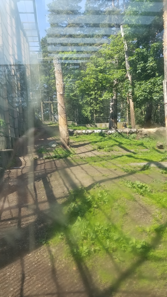 f:id:fuckingmacaron:20190609035516j:plain f:id:fuckingmacaron:20190609035516j:plain