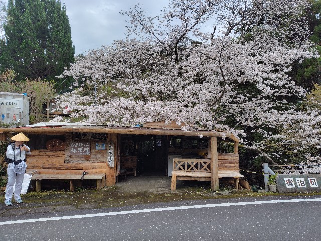 f:id:fudoan_hekiganroku:20250329054612j:image f:id:fudoan_hekiganroku:20250329054612j:image