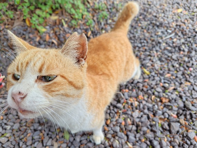 f:id:fudoan_hekiganroku:20250329054719j:image f:id:fudoan_hekiganroku:20250329054719j:image