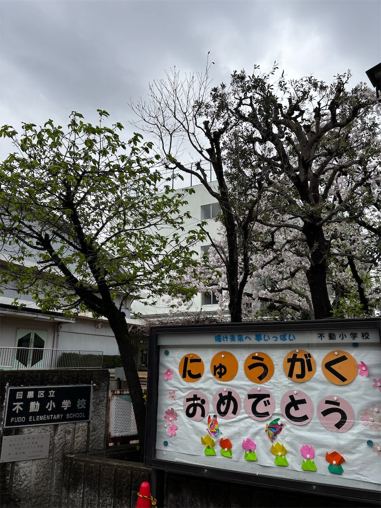 f:id:fudopta:20260418143431j:image