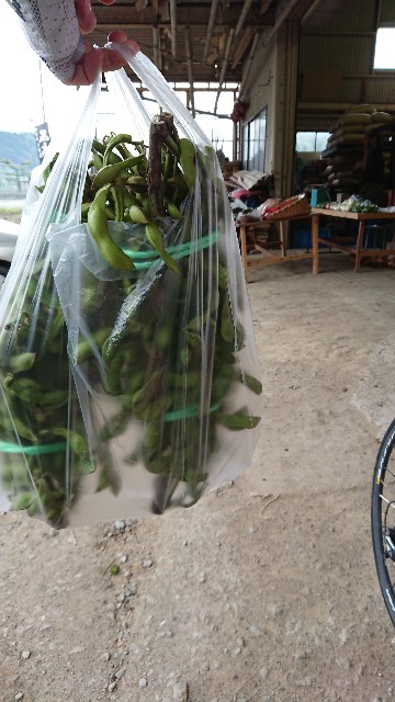 f:id:fudousanchintaikojyo:20191002193232j:image