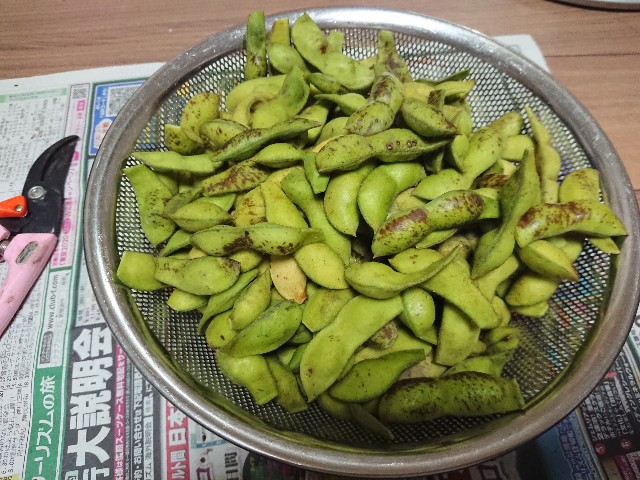 f:id:fudousanchintaikojyo:20191105175014j:image f:id:fudousanchintaikojyo:20191105175014j:image