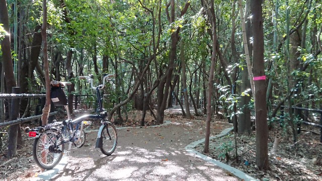 f:id:fudousanchintaikojyo:20191114093245j:plain