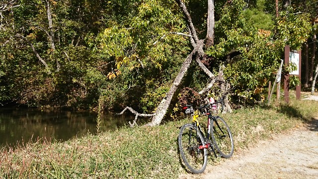 f:id:fudousanchintaikojyo:20191115174119j:plain