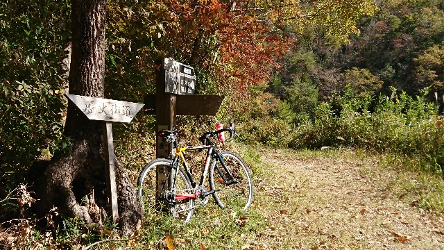 f:id:fudousanchintaikojyo:20191115174204j:plain