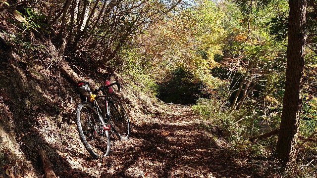 f:id:fudousanchintaikojyo:20191115174226j:plain