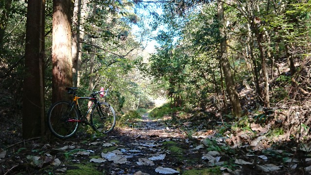 f:id:fudousanchintaikojyo:20191115174518j:plain