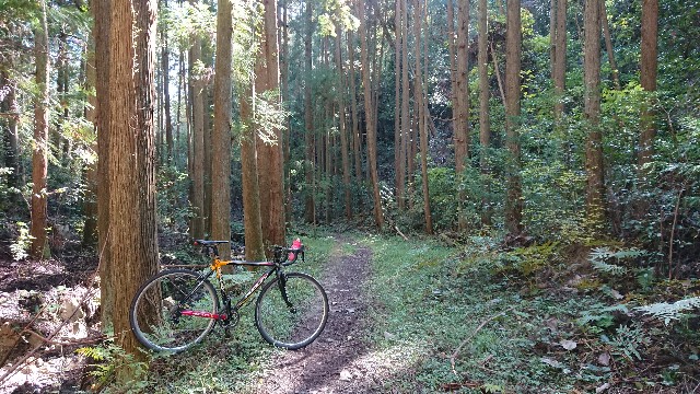 f:id:fudousanchintaikojyo:20191115174611j:plain