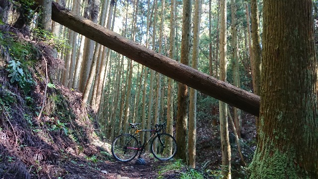 f:id:fudousanchintaikojyo:20191115174646j:plain