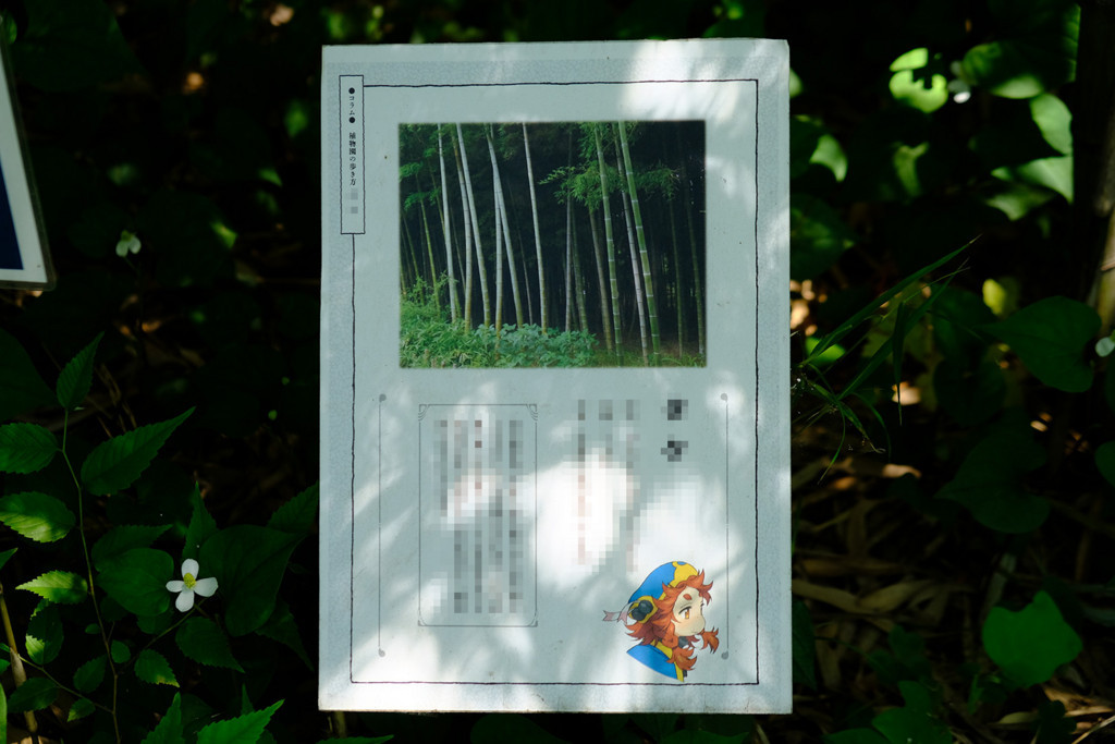 f:id:fudsuki:20180520184844j:plain