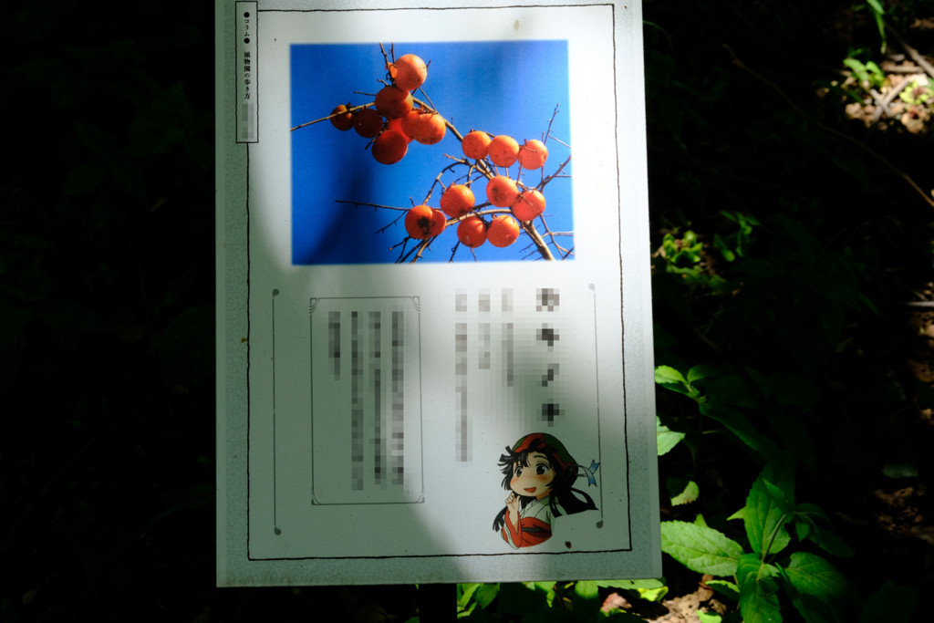 f:id:fudsuki:20180520190150j:plain