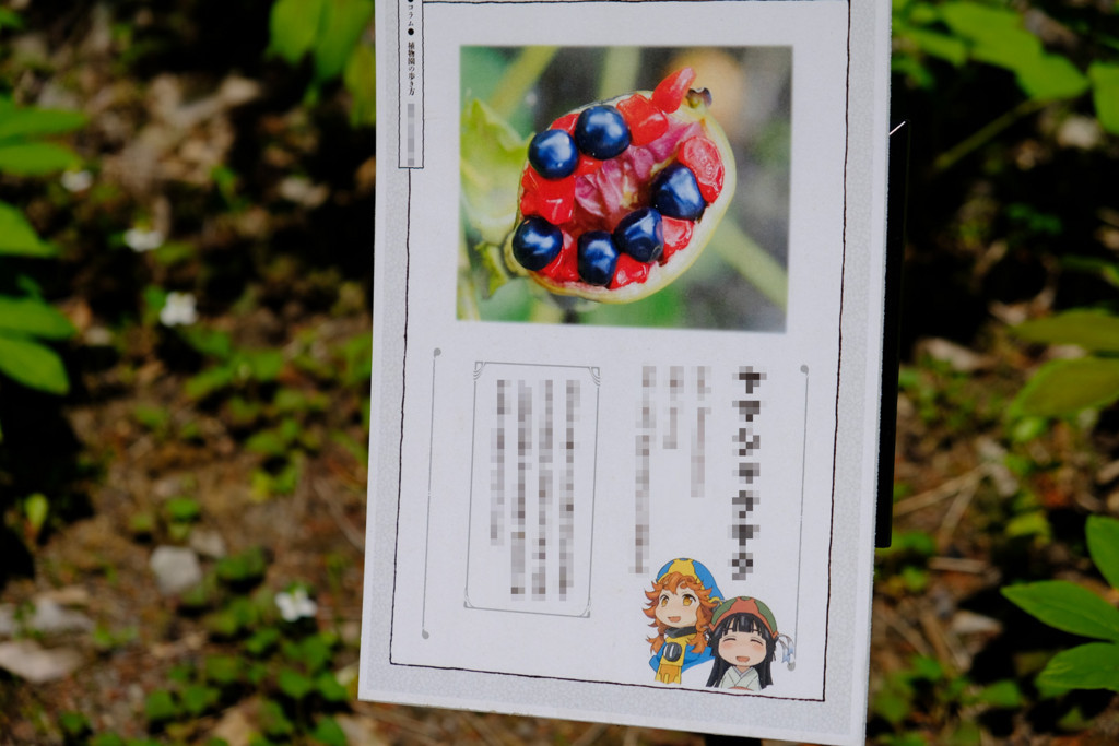 f:id:fudsuki:20180520205159j:plain
