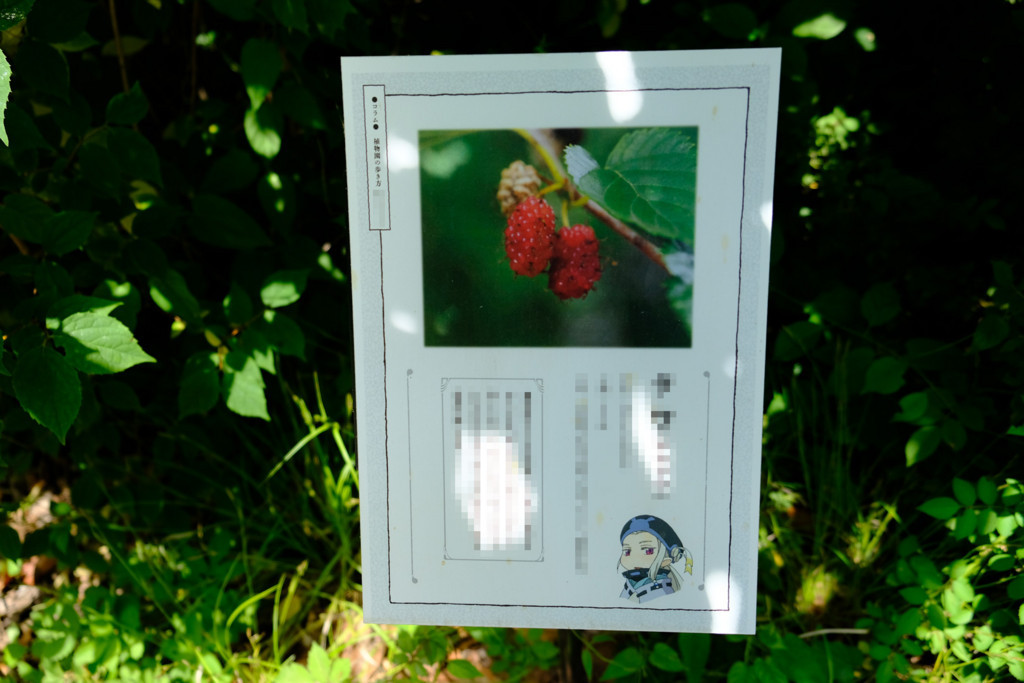 f:id:fudsuki:20180520211246j:plain