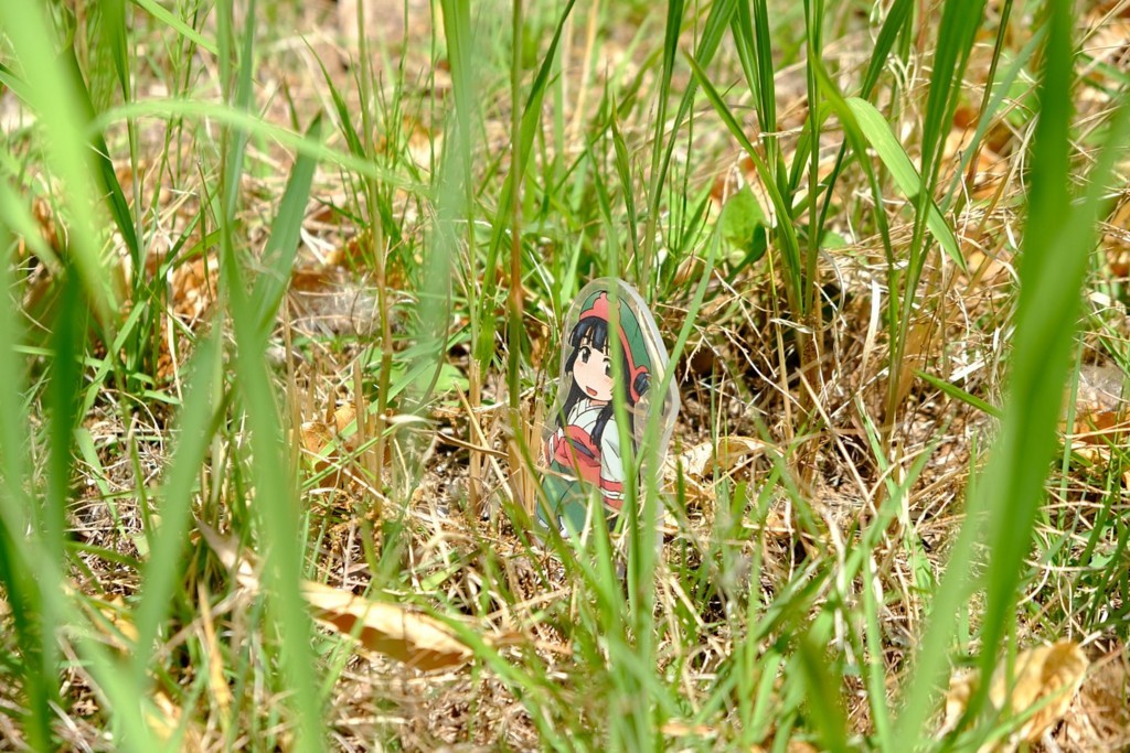 f:id:fudsuki:20180520211854j:plain