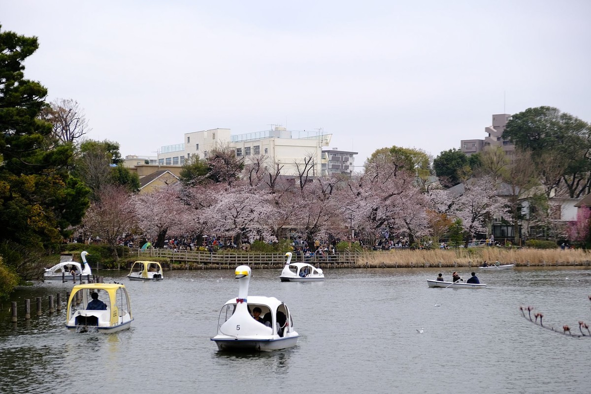 f:id:fudsuki:20190330171634j:plain