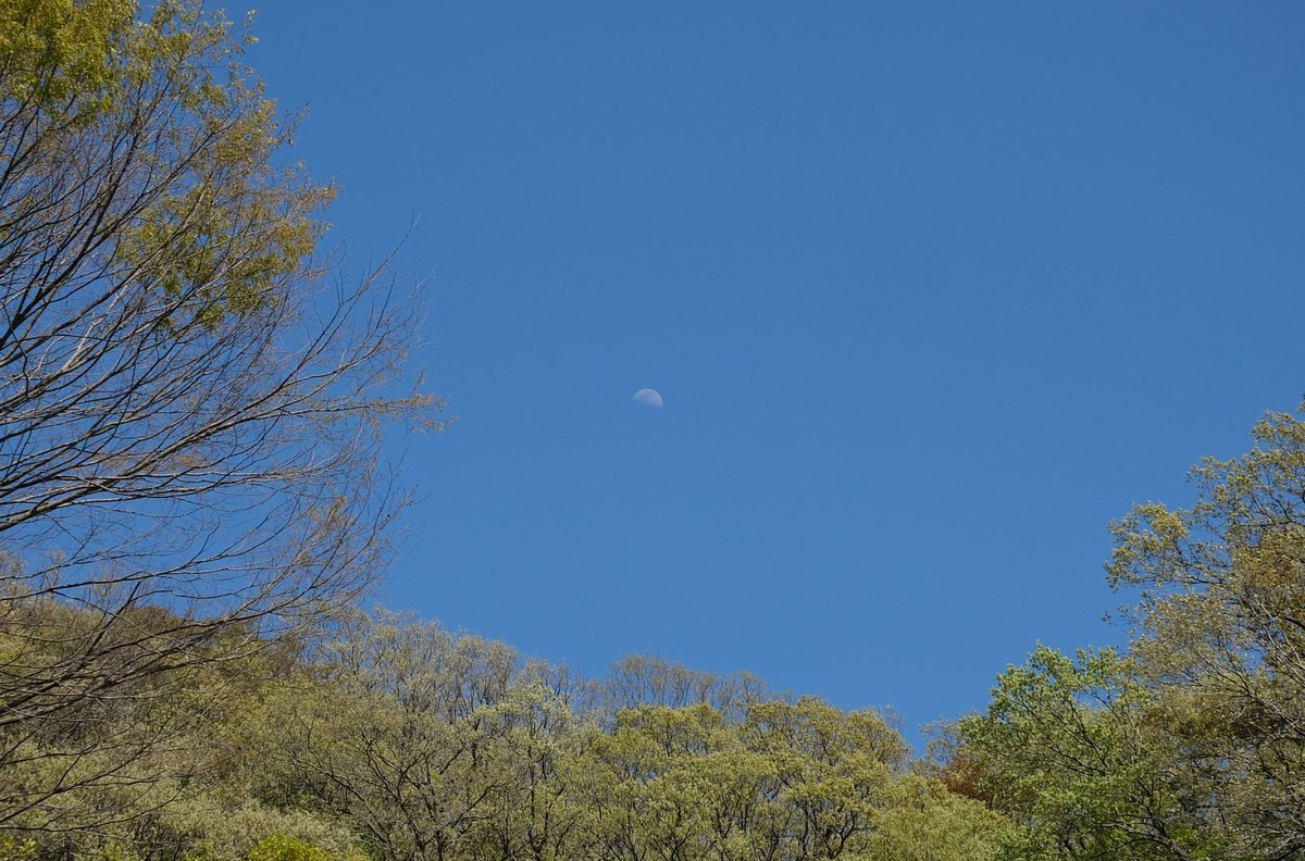 f:id:fudsuki:20190414172756j:plain f:id:fudsuki:20190414172756j:plain