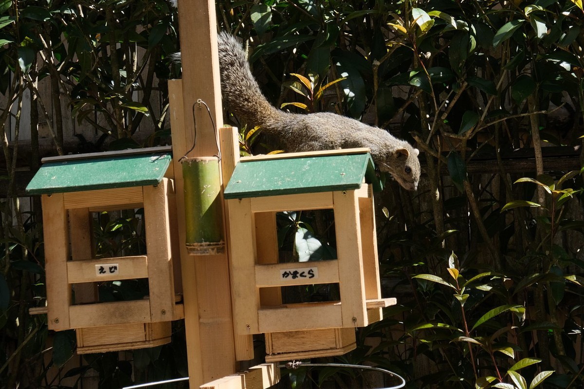 f:id:fudsuki:20190414173831j:plain f:id:fudsuki:20190414173831j:plain