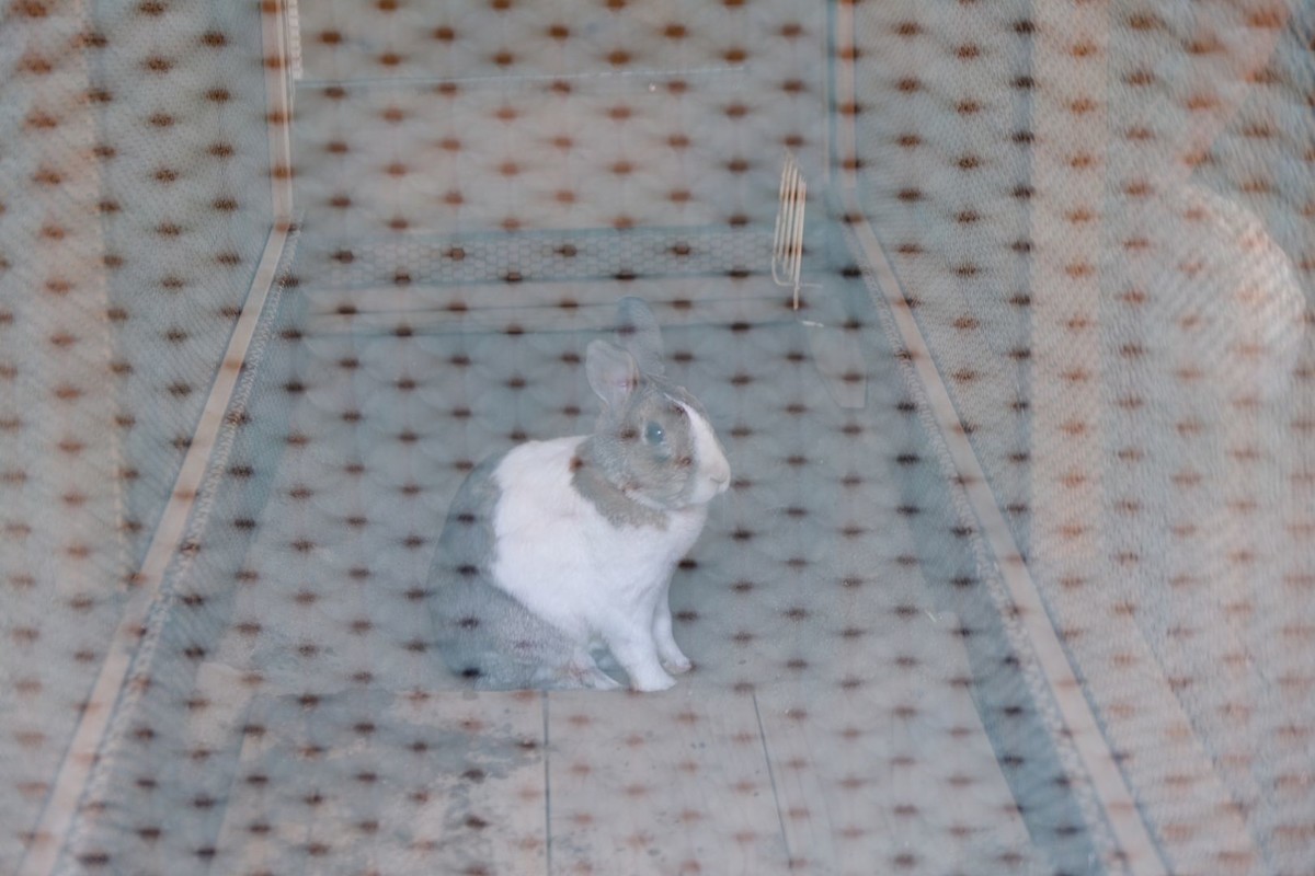 f:id:fudsuki:20190414180009j:plain f:id:fudsuki:20190414180009j:plain