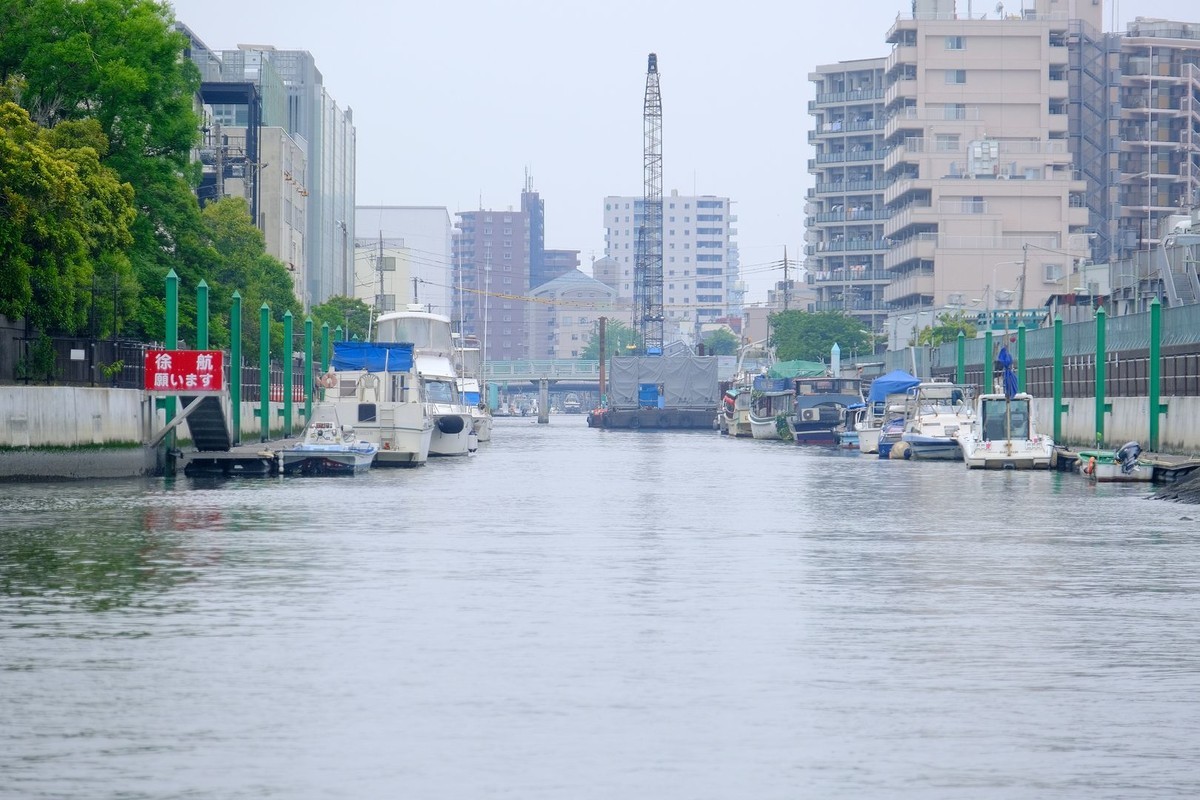 f:id:fudsuki:20190608164607j:plain