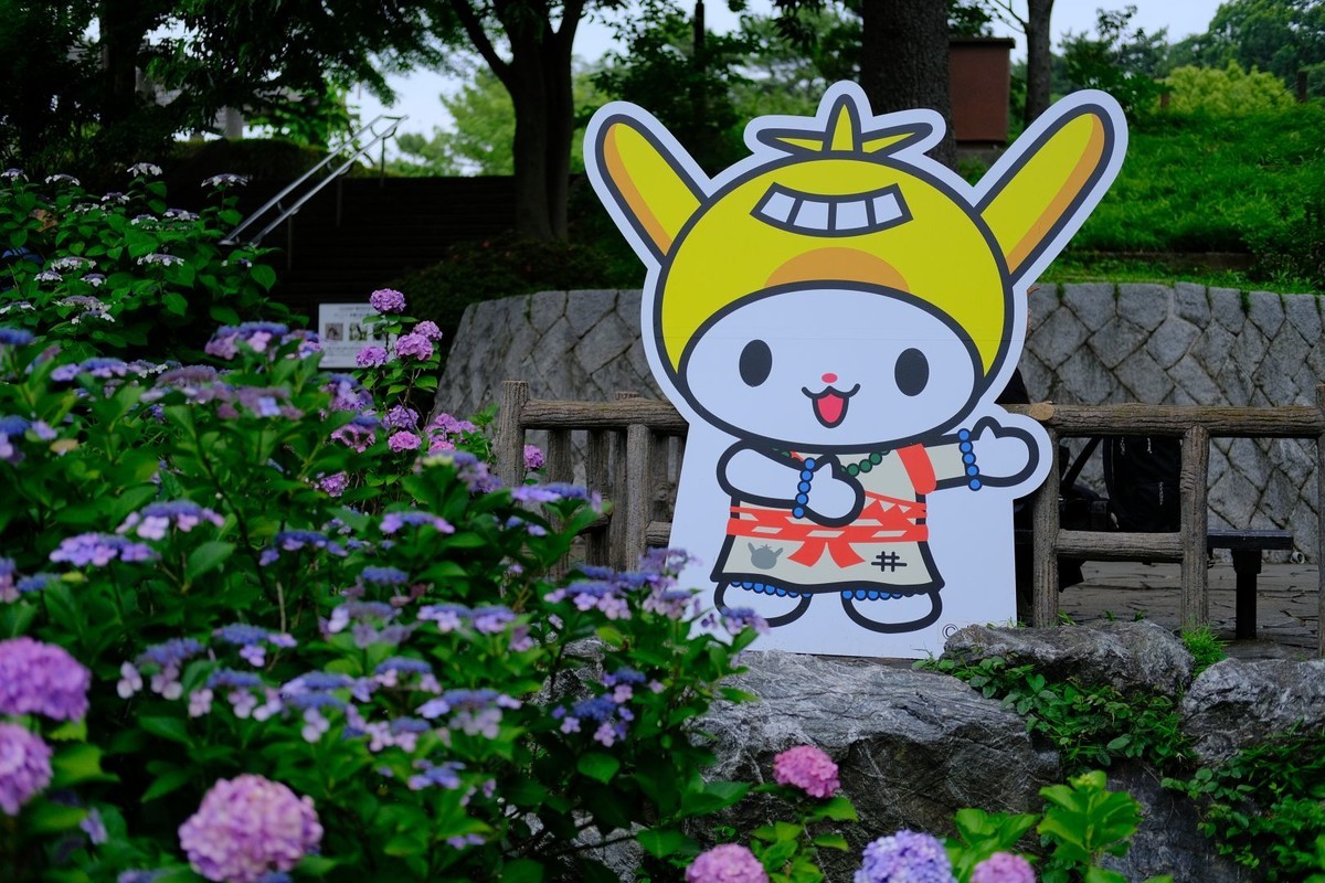 f:id:fudsuki:20190623175117j:plain