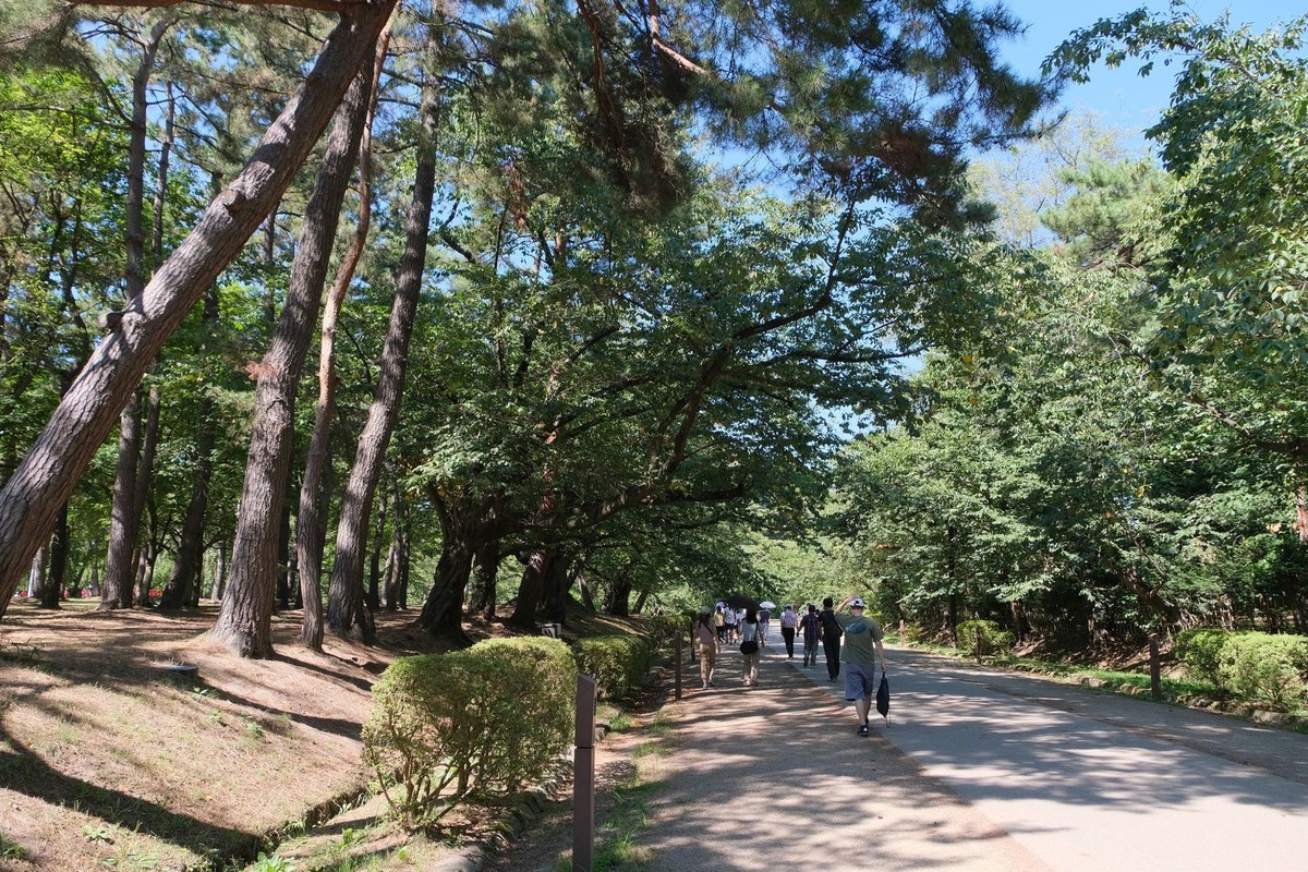 f:id:fudsuki:20190816175430j:plain