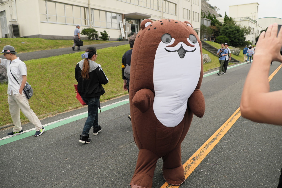 f:id:fudsuki:20191006211448j:plain f:id:fudsuki:20191006211448j:plain