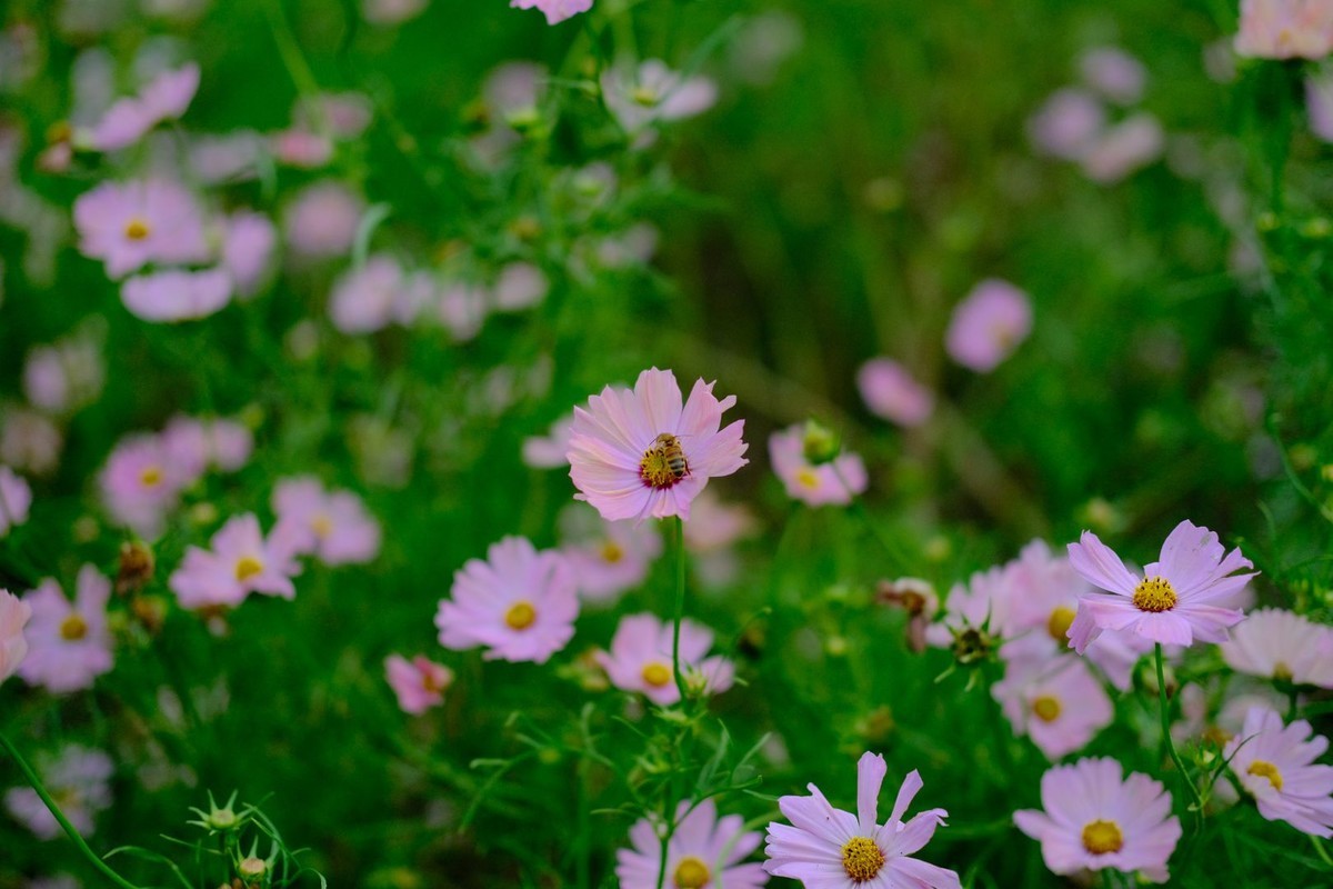 f:id:fudsuki:20191022124115j:plain