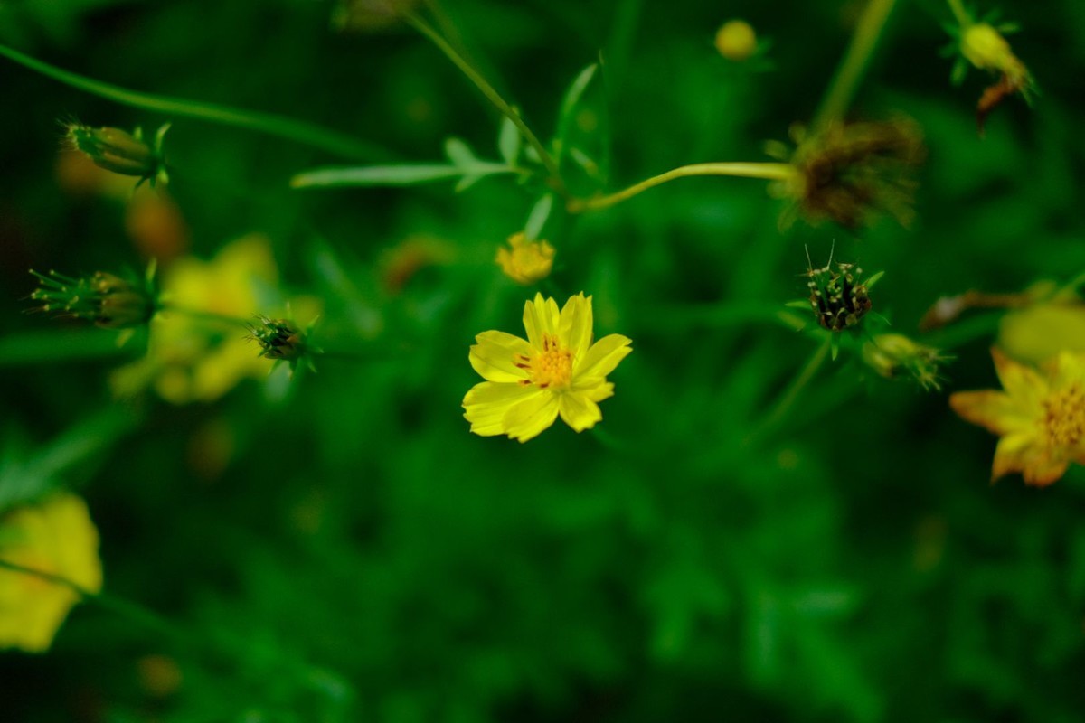 f:id:fudsuki:20191022124657j:plain