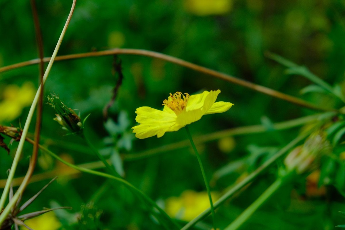 f:id:fudsuki:20191022124830j:plain