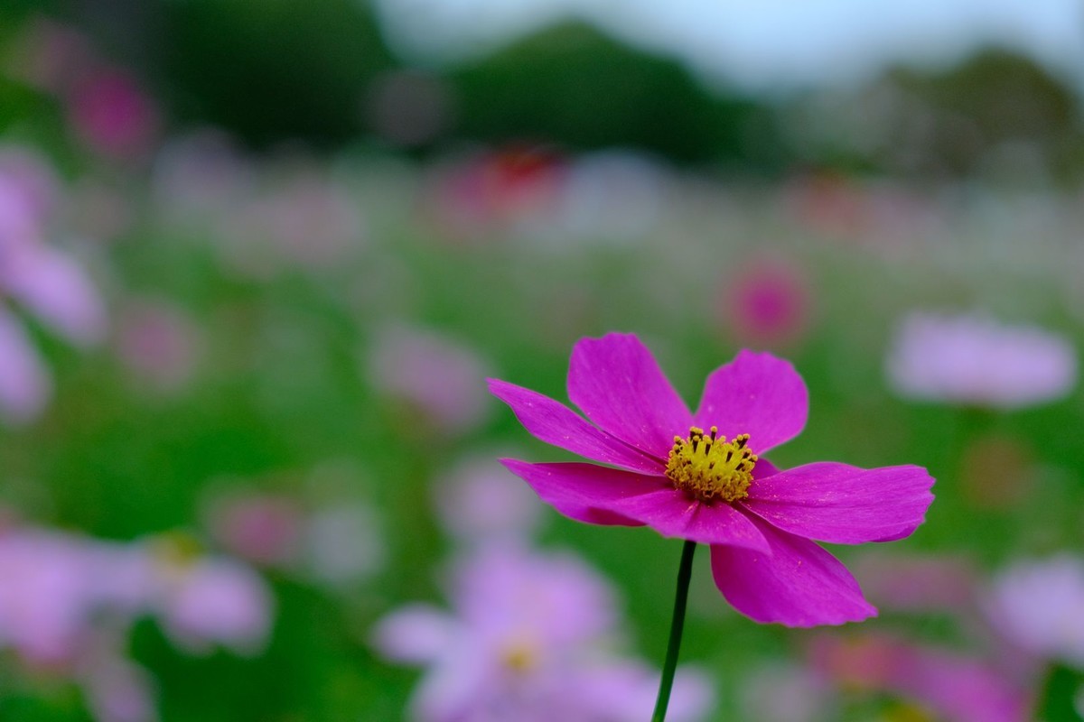f:id:fudsuki:20191022162202j:plain