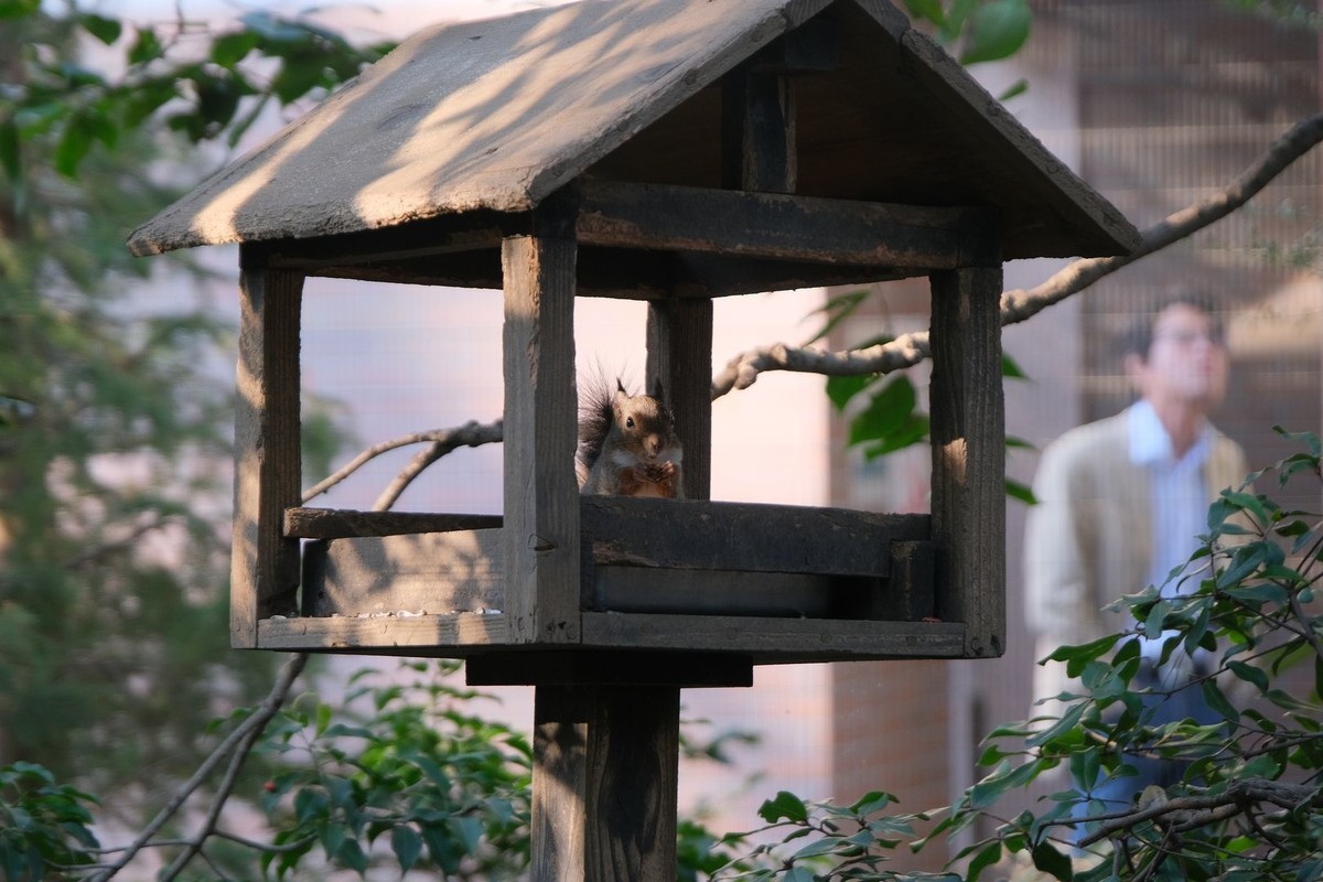 f:id:fudsuki:20191110213458j:plain f:id:fudsuki:20191110213458j:plain