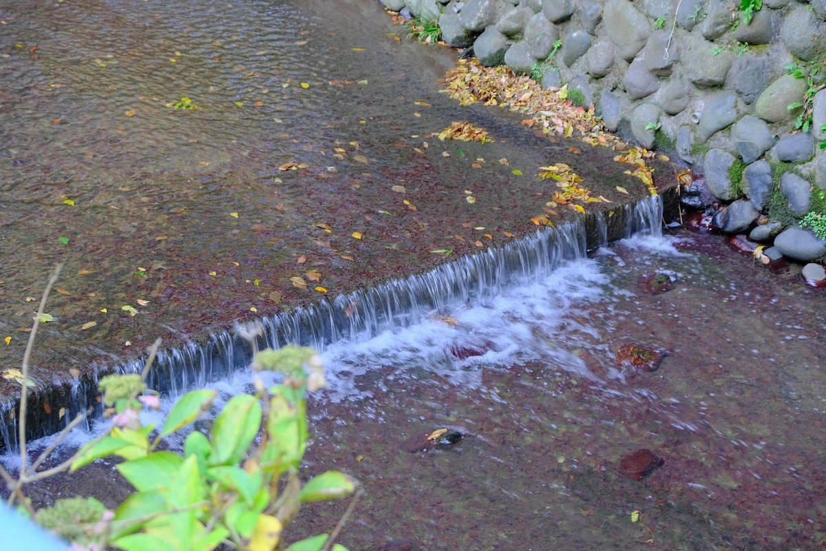 f:id:fudsuki:20191201150259j:plain