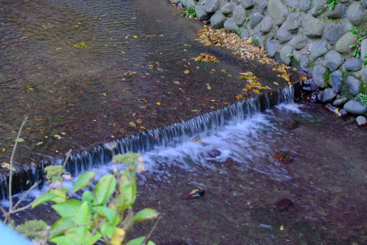f:id:fudsuki:20191201150825j:plain