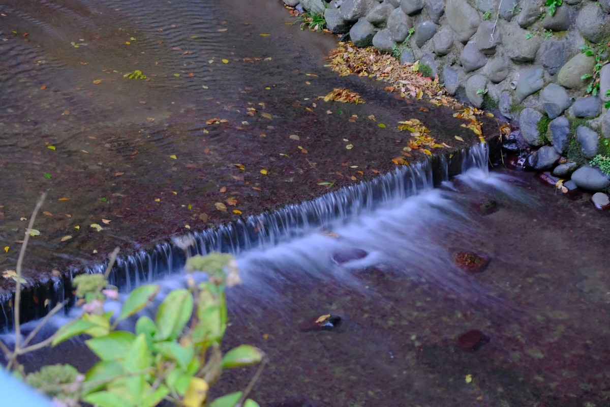 f:id:fudsuki:20191201151321j:plain
